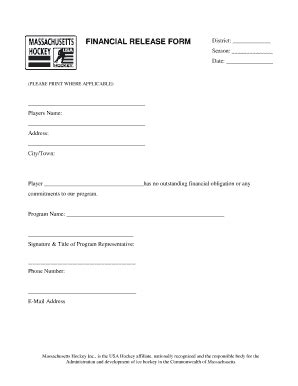 Financial Release Form - Fill and Sign Printable Template Online