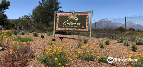 Things to Do in Claremont in 2024 - Top Attractions, Local Food, Hotels ...