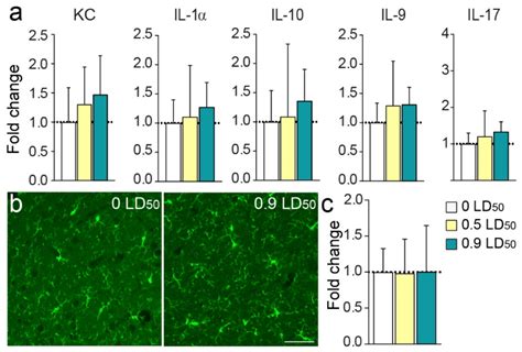 Long-Term Anxiety-like Behavior and Microbiota Changes Induced in Mice ...
