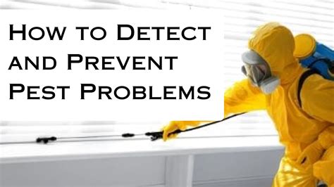 Image result for Fix Problems Prevent