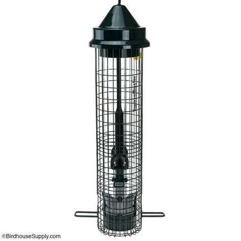 Brome Classic Squirrel Buster - Patented