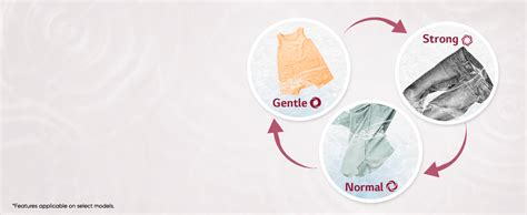 LG 8.5 kg 5 Star Semi-Automatic Top Load Washing Machine (P8530SRAZ ...