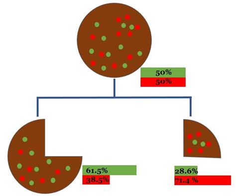 Image result for Decision Tree Cart Example