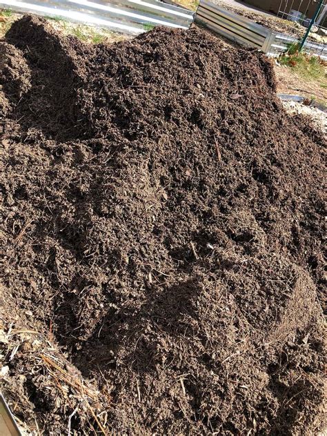 Everything You Need to Know About Composting Chicken Manure at Home