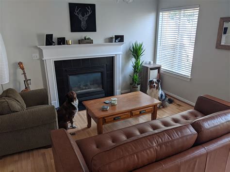 couch too big for living room