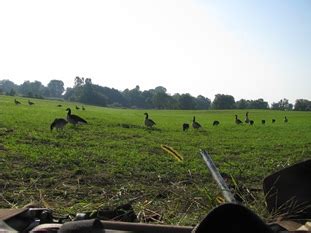 Muskegon County Wastewater managed waterfowl hunt area opens Saturday