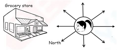 MCQs for Measurement of Angles - Class 5 Maths Worksheet | Olympiad tester