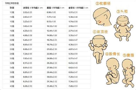 2022年出生双胞胎男孩名字，好听寓意好的成语组词名字-起名网