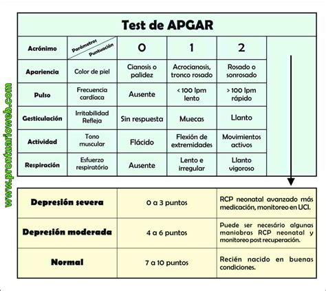Image result for Que Significa Apgar
