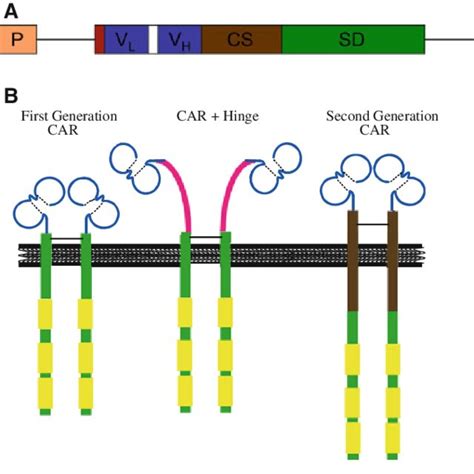 Image result for Hexagonal Structure Car