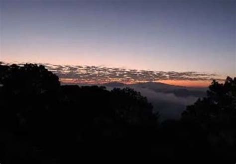 Erica Hills Resort, Kasauli - Best Home Stay Unit in Kasauli