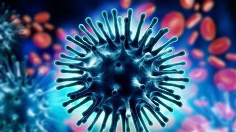 Another human bird flu case in Chinese woman, confirms WHO