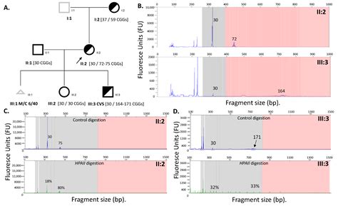 Detection of Cryptic Fragile X Full Mutation Alleles by Southern Blot ...