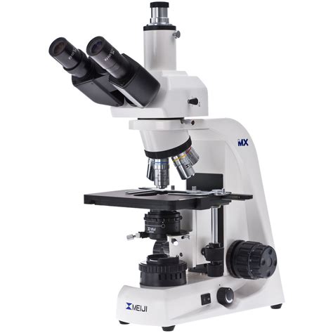 Microscope Images Hd Png at Justin Plant blog