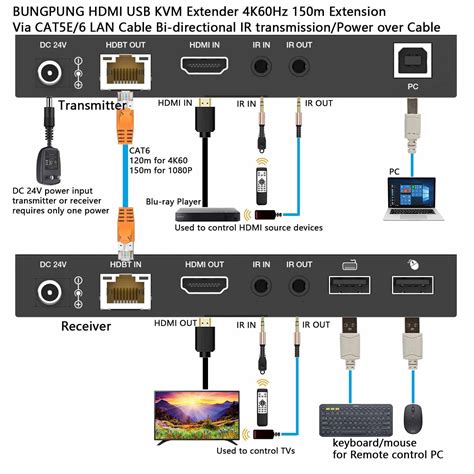 Image result for Cable Leg Extensions Exercise