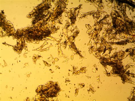 Dust Particles 的图像结果