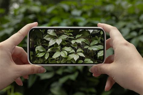 Mobile Phone in Hand 的图像结果