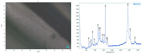 Advancing Surgical Arrhythmia Ablation: Novel Insights on 3D Printing ...