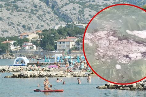 Nešto se čudno događa na hrvatskom turističkom odredištu: Razboljela se ...