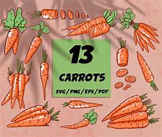 Image result for Bunny Carrot Cartoon