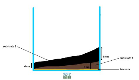 Image result for Fish Tank Substrate