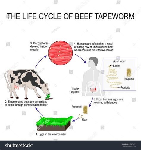 Image result for 7th Grade Computer Class Assignment Create an Artist Project Example