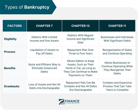 Explaining Chapter 11 Bankruptcy 的图像结果
