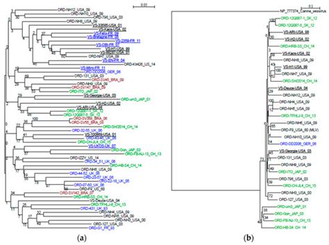 Multiple Correspondence Analysis on Amino Acid Properties within the ...