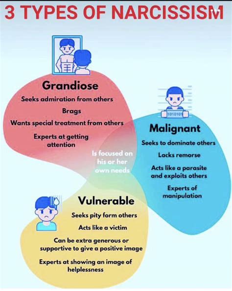 Are there actually 3 types of narcissism? : r/NPD