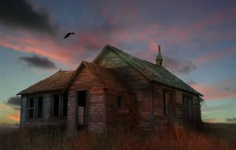 Wallpaper grass, house, bird, eagle, art, ruins, abandonment, dry for ...