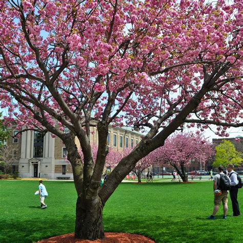 Wentworth Institute of Technology - Admission Requirements, SAT, ACT ...