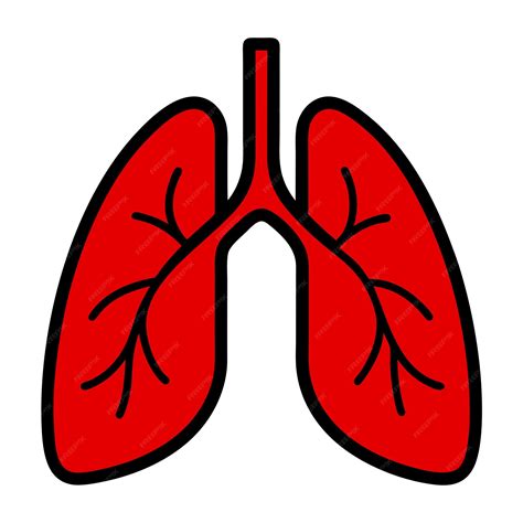 A red lungs clip art and Vector Design With a White Background ...