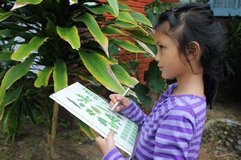 Image result for Outdoor Learning