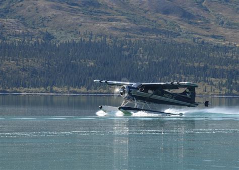 AMAZING 2019!!!! | Regal Air - Alaska Flightseeing, Bear Viewing & Charters