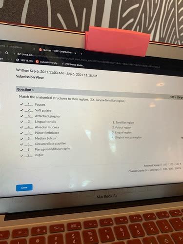 Image result for Module Quizzes