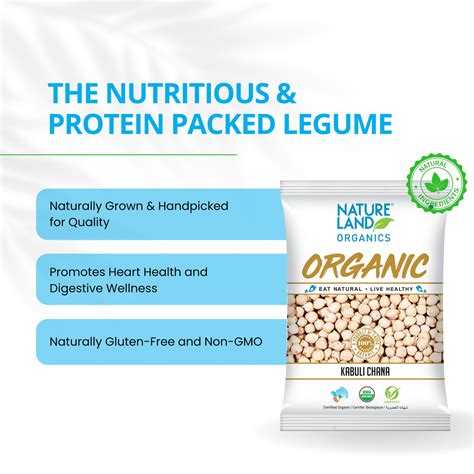 Buy Organic Kabuli Chana Online (500gm) - NatureLand Organics ...