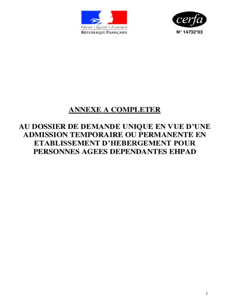 Fillable Online Dossier de demande d'admission en EHPAD (cerfa n14732 ...