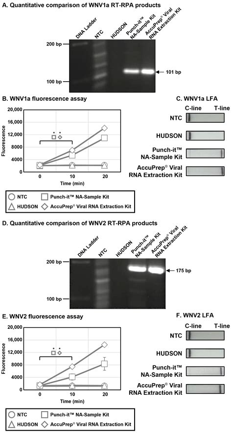 A Novel Diagnostic Tool for West Nile Virus Lineage 1a and 2 Using a ...