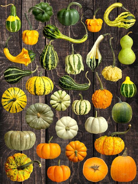 A guide to 13 varieties of pumpkin – Artofit