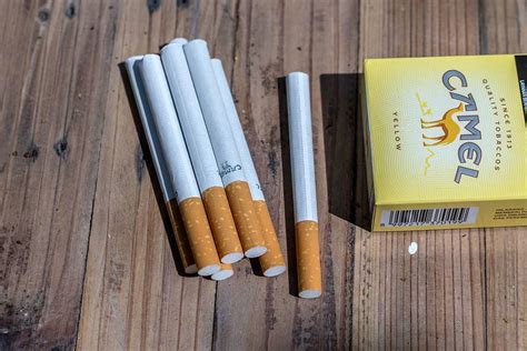 Rokok Camel Kuning, Isapan Halus untuk Kelas SPM