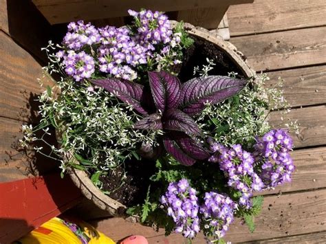 Image result for Homemade Flower Containers