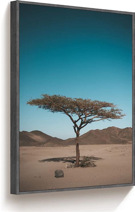 TIME TREE Tree Pictures Wall Decor, Tree Wall Art India | Ubuy