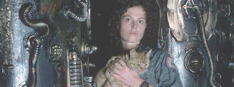 Alien Survival Show 的图像结果