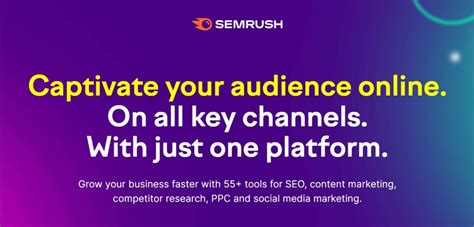 Semrush SEO Tools 的图像结果