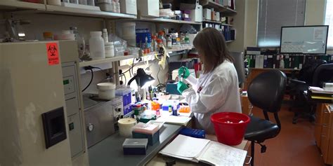 Virginia Tech cancer researchers set for cross-departmental collaboration