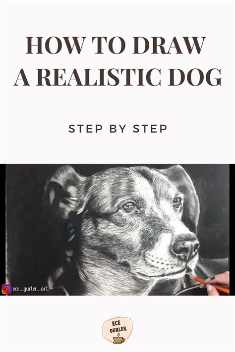 Realistic Dog Drawing Tutorial 的图像结果