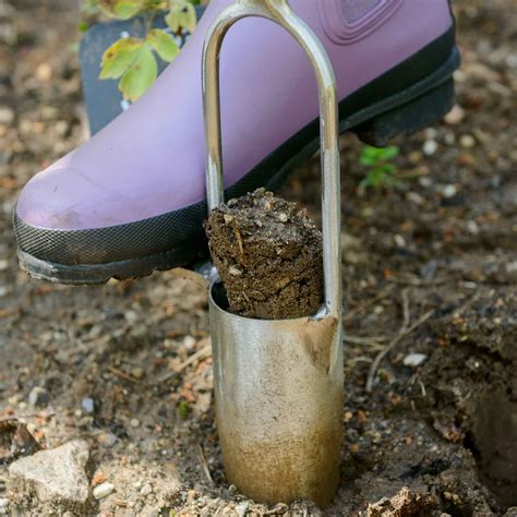 Image result for Using a Bulb Planter