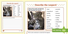 Describe the Snow Leopard Writing Activity,Arctic Animals
