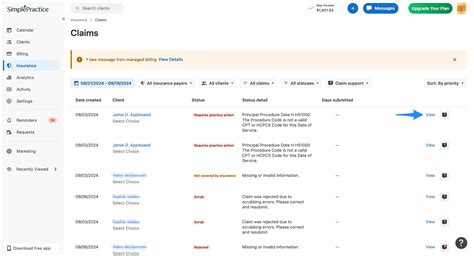 Image result for Simple Practice Billing
