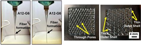 Extrusion 3D (Bio)Printing of Alginate-Gelatin-Based Composite ...